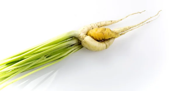 Zwei gedrehte Karotten — Stockfoto