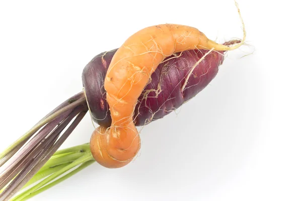 Two Twisted Carrots — Stock Photo, Image