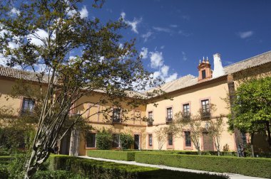 Seville Alcazar Patio del Crucero