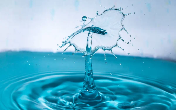 Столкновение Голубой Капли Воды Создающее Зонтик — стоковое фото