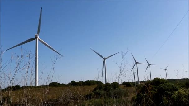 Molinos de viento — Vídeos de Stock