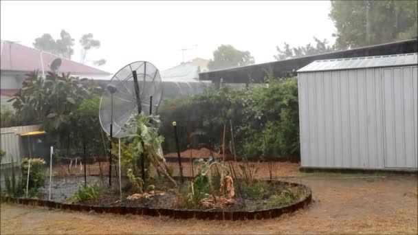 Kraftigt regn och stark vind — Stockvideo