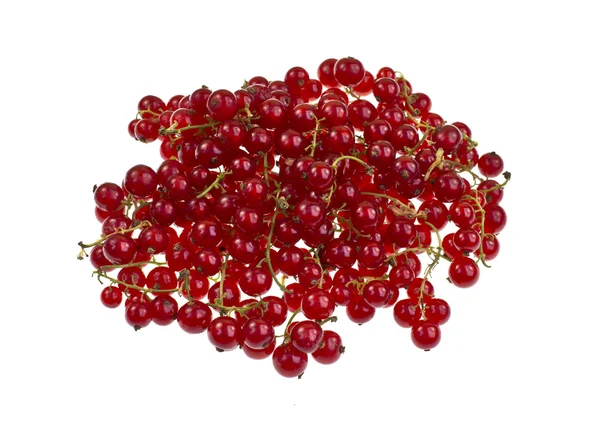 Red Currant — Stock Photo, Image