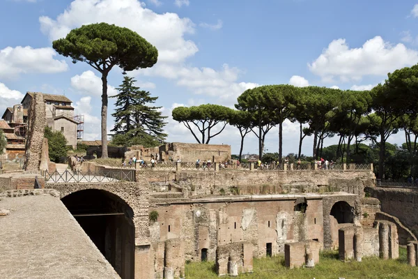 Palatine Hill Ruínas — Fotografia de Stock