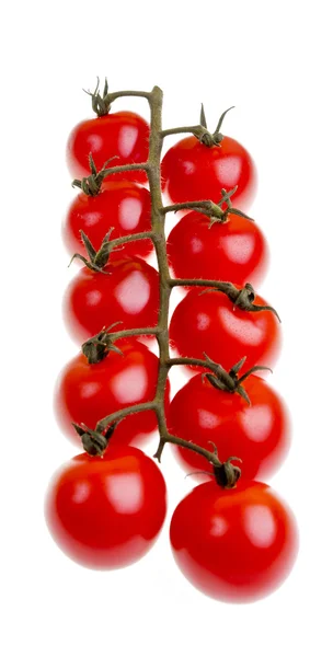 Truss Cherry Tomatoes — Stock Photo, Image