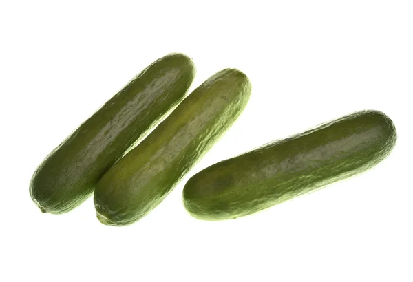 Baby Cucumbers — Stock Photo, Image