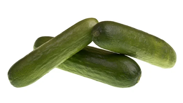 Baby Cucumbers — Stock Photo, Image