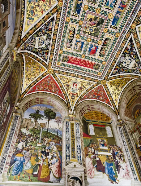 Biblioteca de Siena Duomo — Fotografia de Stock