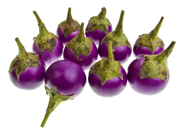 Thai Purple Eggplant or Aubergine — Stock Photo, Image