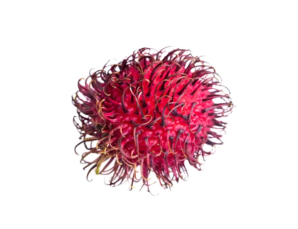 Fruta tropical do rambutão — Fotografia de Stock