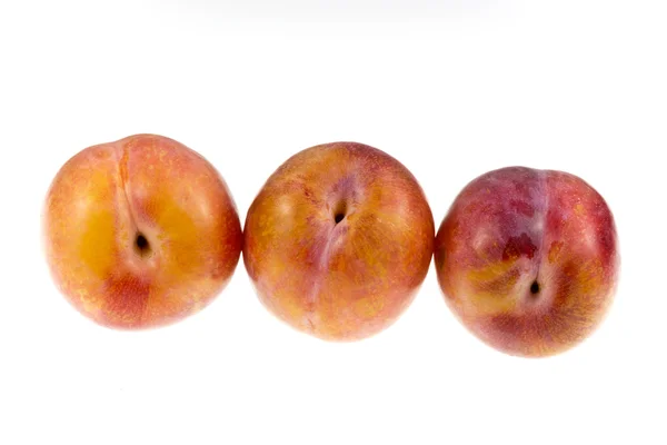 Aurora Plums — Stock Photo, Image