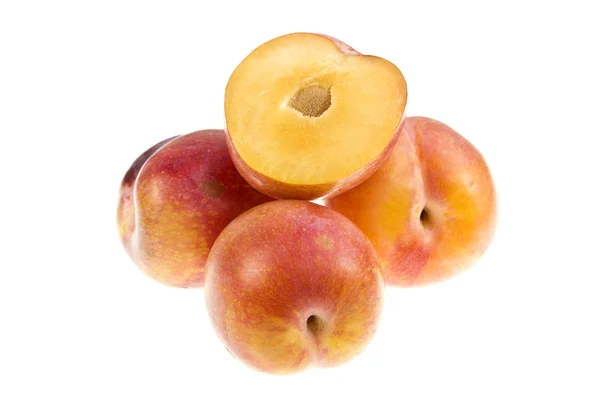 Aurora Plums — Stock Photo, Image