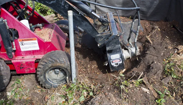 Stump Grinding — Stock Photo, Image