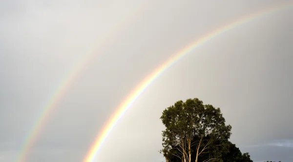 Dubbele regenboog — Stockfoto