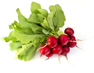 Taze çekilmiş turp