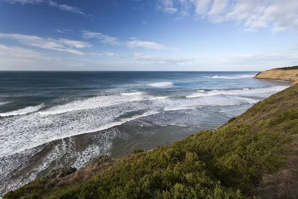 Kuş Rock Beach, Great Ocean Road, Avustralya — Stok fotoğraf