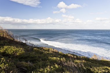 Sörfçü Bells Beach