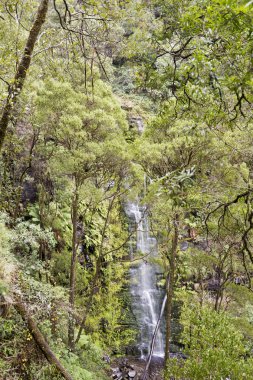 Erskine Falls
