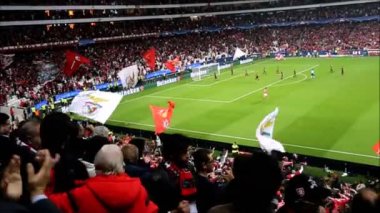 Futbol Benfica rakip Galatasaray
