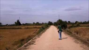 Peregrine Falcon Pray yakalamak