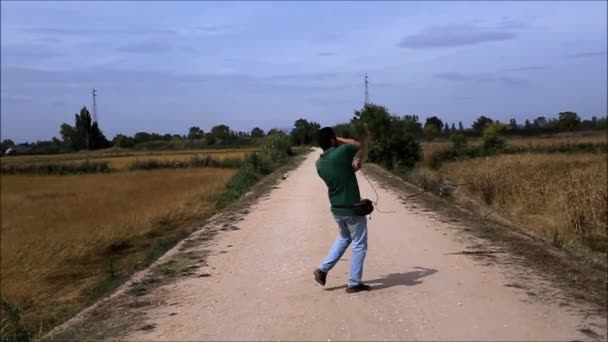 Peregrine Falcon в полете — стоковое видео