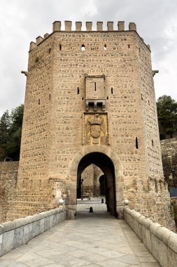 Toledo Alcantara Köprüsü