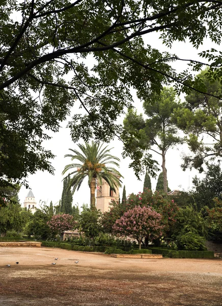 Krásné zahrady Alhambry — Stock fotografie