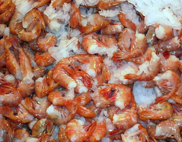 Fresh caught shrimp. — Stock Photo, Image