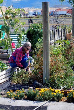 Olgun kadın çalışma.