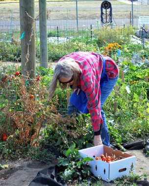 Olgun kadın çalışma.
