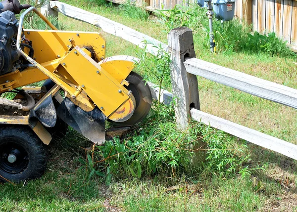 Stump machine à l'extérieur . — Photo