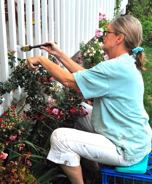 Maturo pittura femminile . — Foto Stock