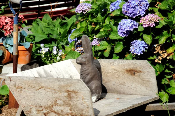 自然の中で咲く花の庭屋外 — ストック写真