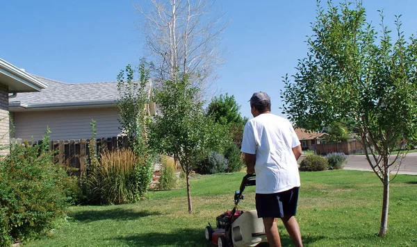 外に芝生を刈るアフリカ系アメリカ人男性シニア — ストック写真