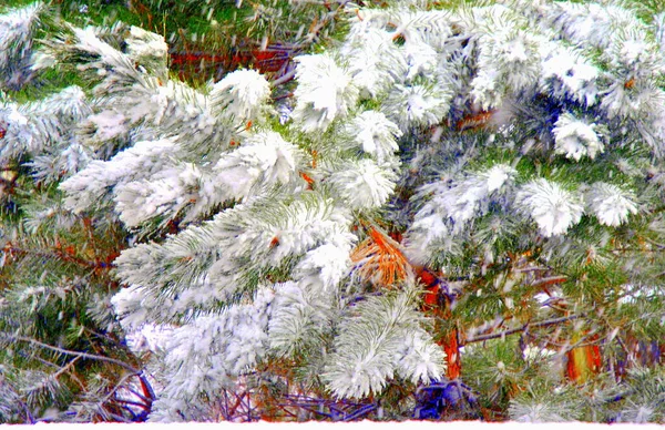 Inverno Temporada Neve Exibido Natureza Livre — Fotografia de Stock
