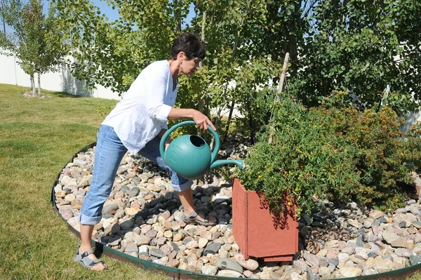 Jardinière . Photos De Stock Libres De Droits