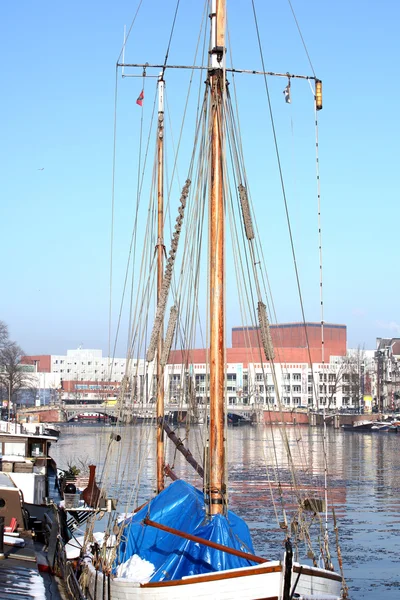 Amsterdammer. — Stockfoto