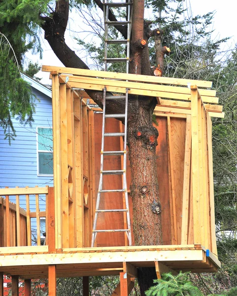 Treehouse. — Stock Photo, Image