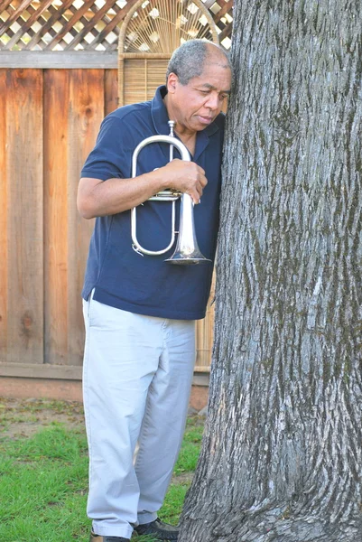 Músico de Jazz . —  Fotos de Stock