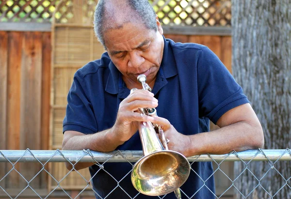 Jazzmusiker. — Stockfoto