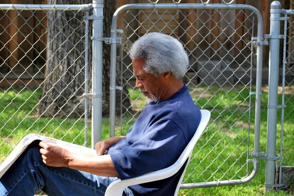 Afrikanischer amerikanischer Rüde. — Stockfoto