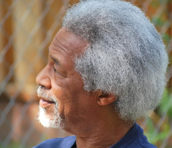 Afro-Amerikaanse man. — Stockfoto