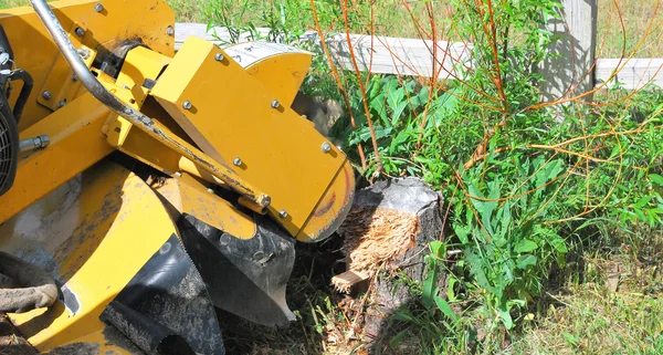 Machine à souche d'arbre . — Photo