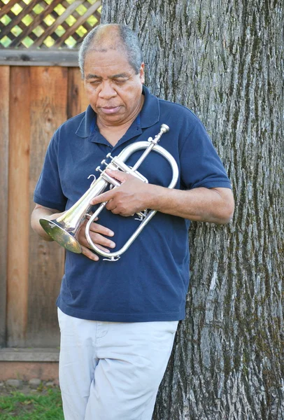 Músico de jazz . — Fotografia de Stock