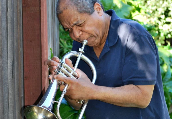 Jazzmusiker uttryck. — Stockfoto