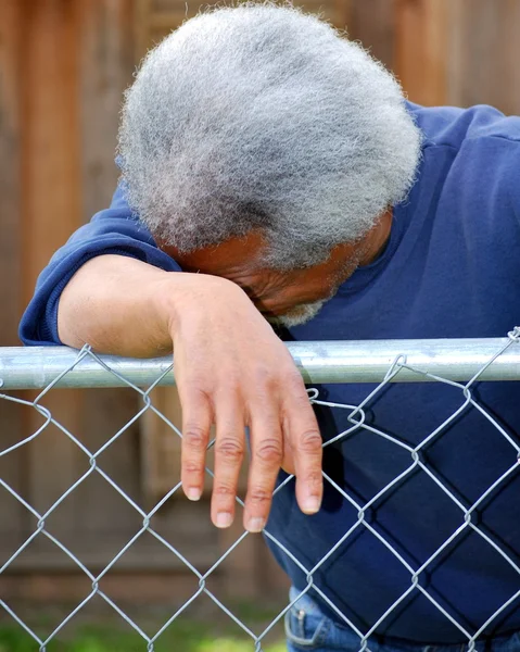 Afrikanischer amerikanischer Rüde. — Stockfoto