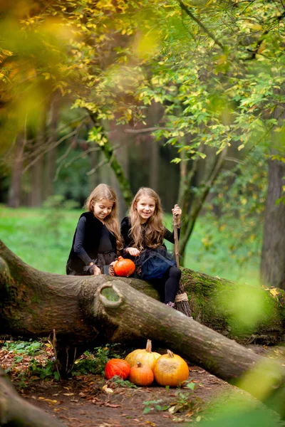 Δύο Κορίτσια Ντυμένες Μάγισσες Στο Πάρκο — Φωτογραφία Αρχείου