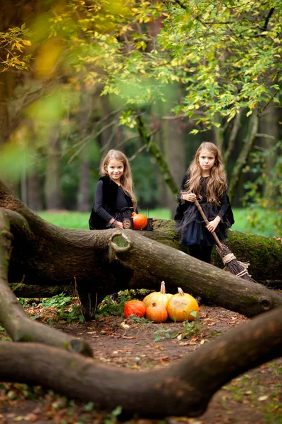 Две Девушки Костюмах Ведьм Парке — стоковое фото