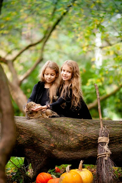 Duas Meninas Vestidas Como Bruxas Parque — Fotografia de Stock