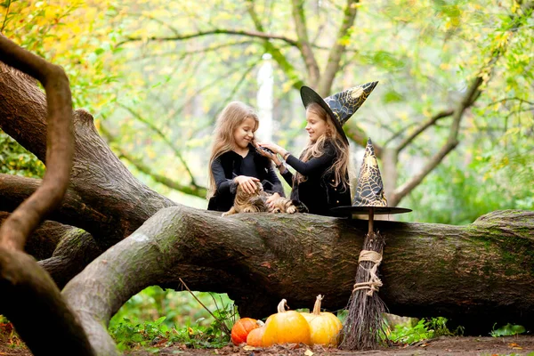 Dos Chicas Vestidas Como Brujas Parque —  Fotos de Stock